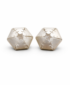 Earrings in Silver. Cactus Collection