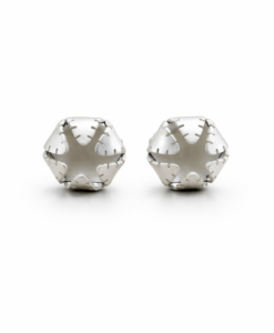 Earrings in Silver. Cactus Collection