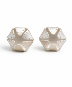 Earrings in Silver. Cactus Collection