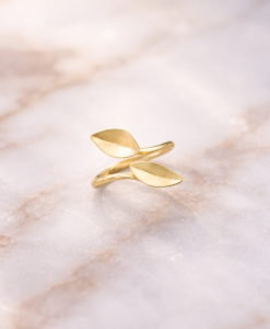 Anillo Oro
