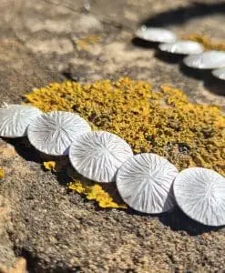 Collar en Plata